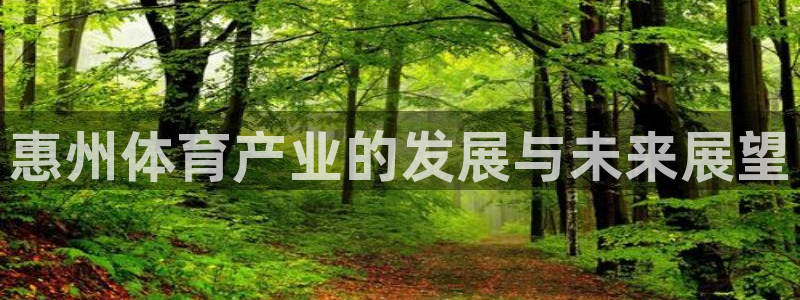 3377体育官网下载平台注册要钱吗是真的吗:惠州体育产业的发