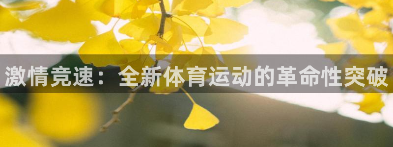 3377体育官网下载软件:激情竞速:全新体育运动的革命性突破