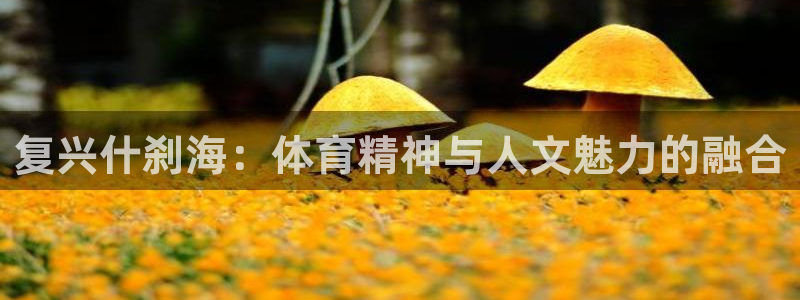 3377体育官方正版app集团:复兴什刹海:体育精神与人文魅